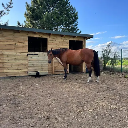 Lakie Guest House * Łąkie