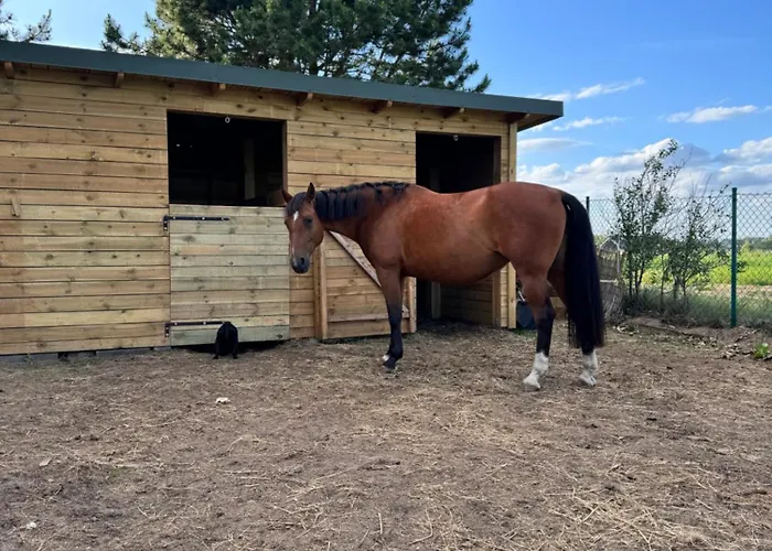 Lakie Guest House * Lakie (Bytow)